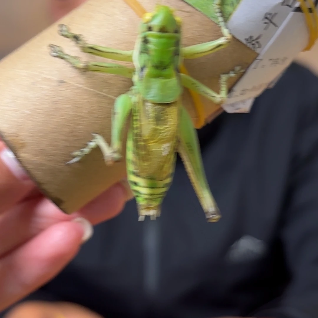 坦***笑蝈蝈蝈蝈福福价格