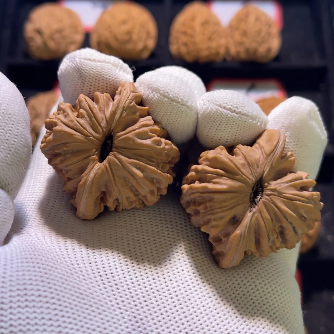 秦皇岛山地果全品40一代楼15