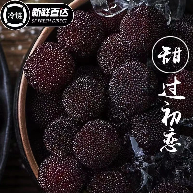 点关注送半斤】正宗仙居杨梅荸荠黑炭杨梅现摘整箱6.5斤冷链空运