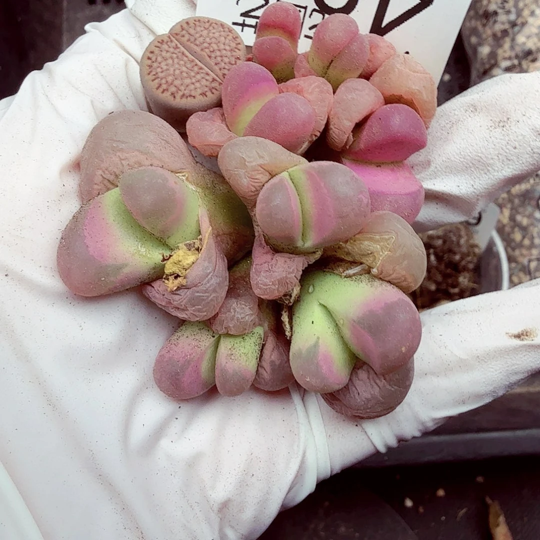 你说吧别在打电话来打扰490