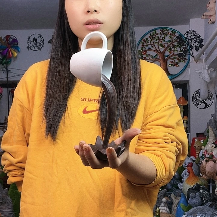 树脂ms ms ni h ni xin