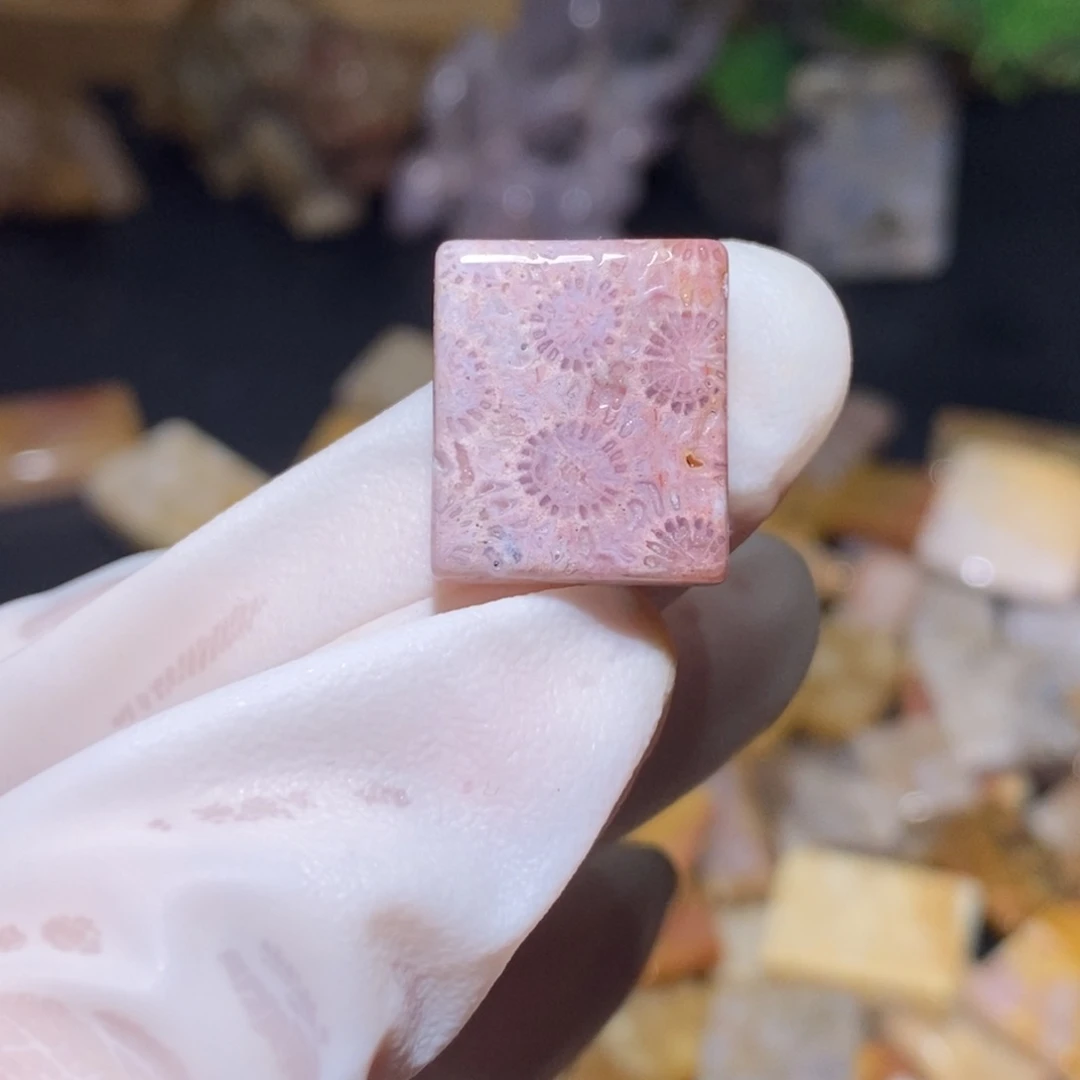 【闪购商品】硅化玉颈饰未镶嵌