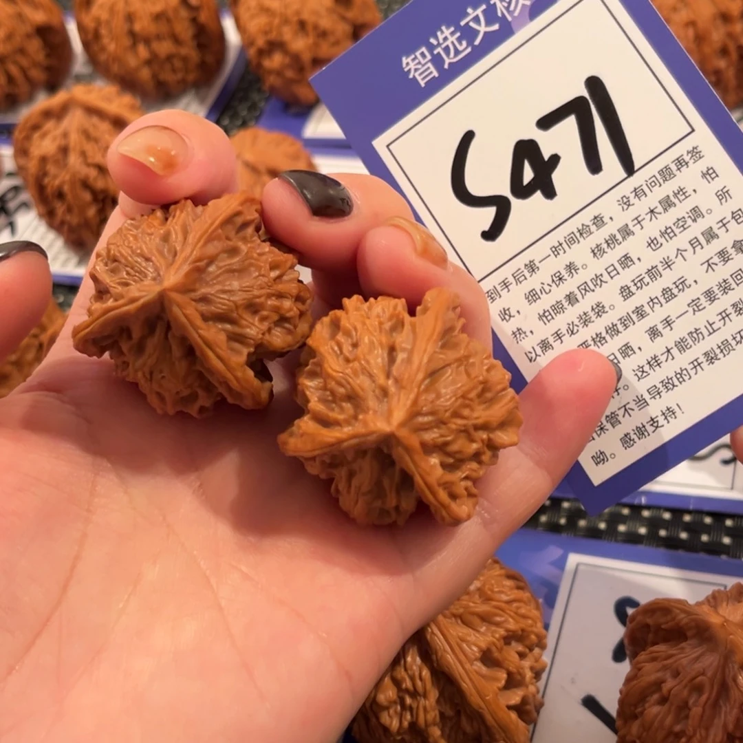 核桃S471号盘山三棱36尺