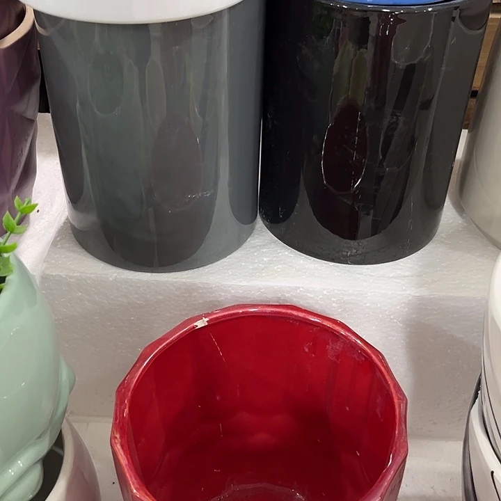 福利价陶瓷多肉拼盘