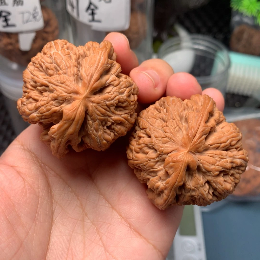 文玩核桃把件王***?47-12225-5