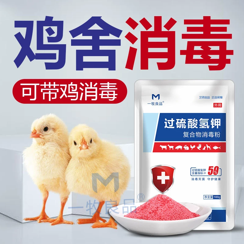 鸡舍专用消毒液过硫酸氢钾消毒液养殖场专用鸡窝鸡棚鸡鸭鹅消毒液
