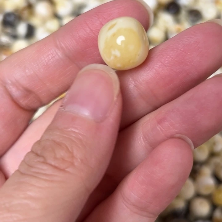 蜜蜡未镶嵌裸石12.8mm一个