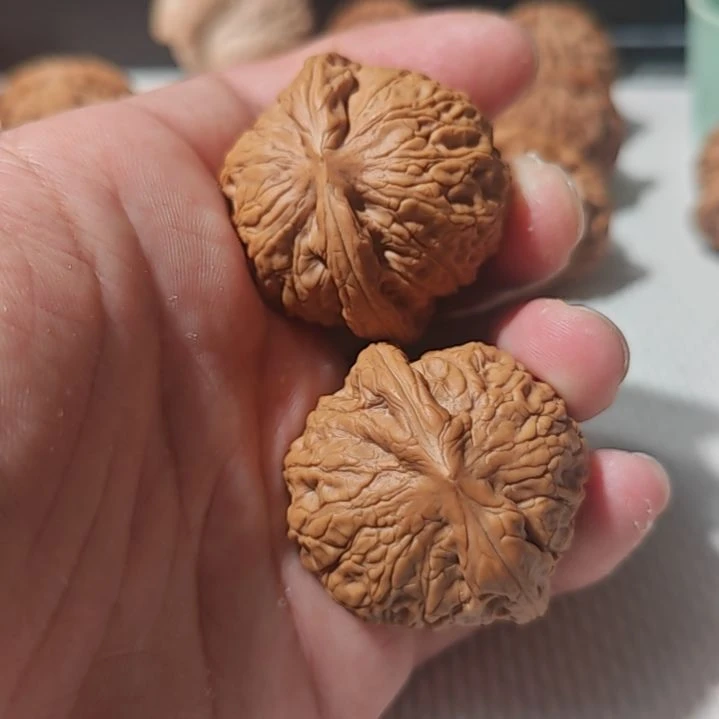 文玩核桃把件一物一图