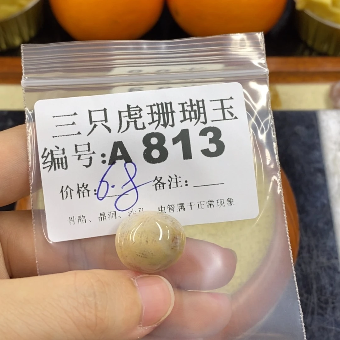 硅化珊瑚（珊瑚玉）1未镶嵌t*o