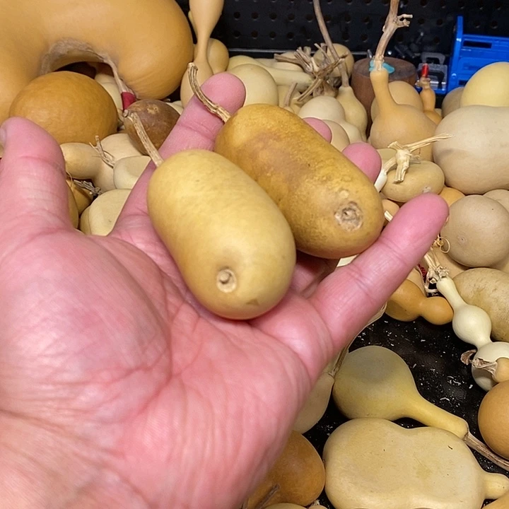 精品葫芦手把葫芦57