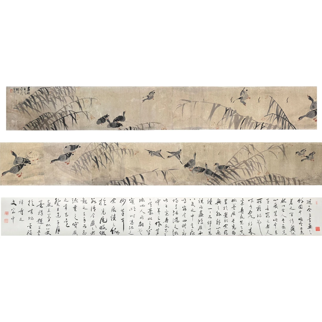 边寿民 芦滩群雁 手卷 杨伯润题 周镇岳 1913年长跋 19×286cm