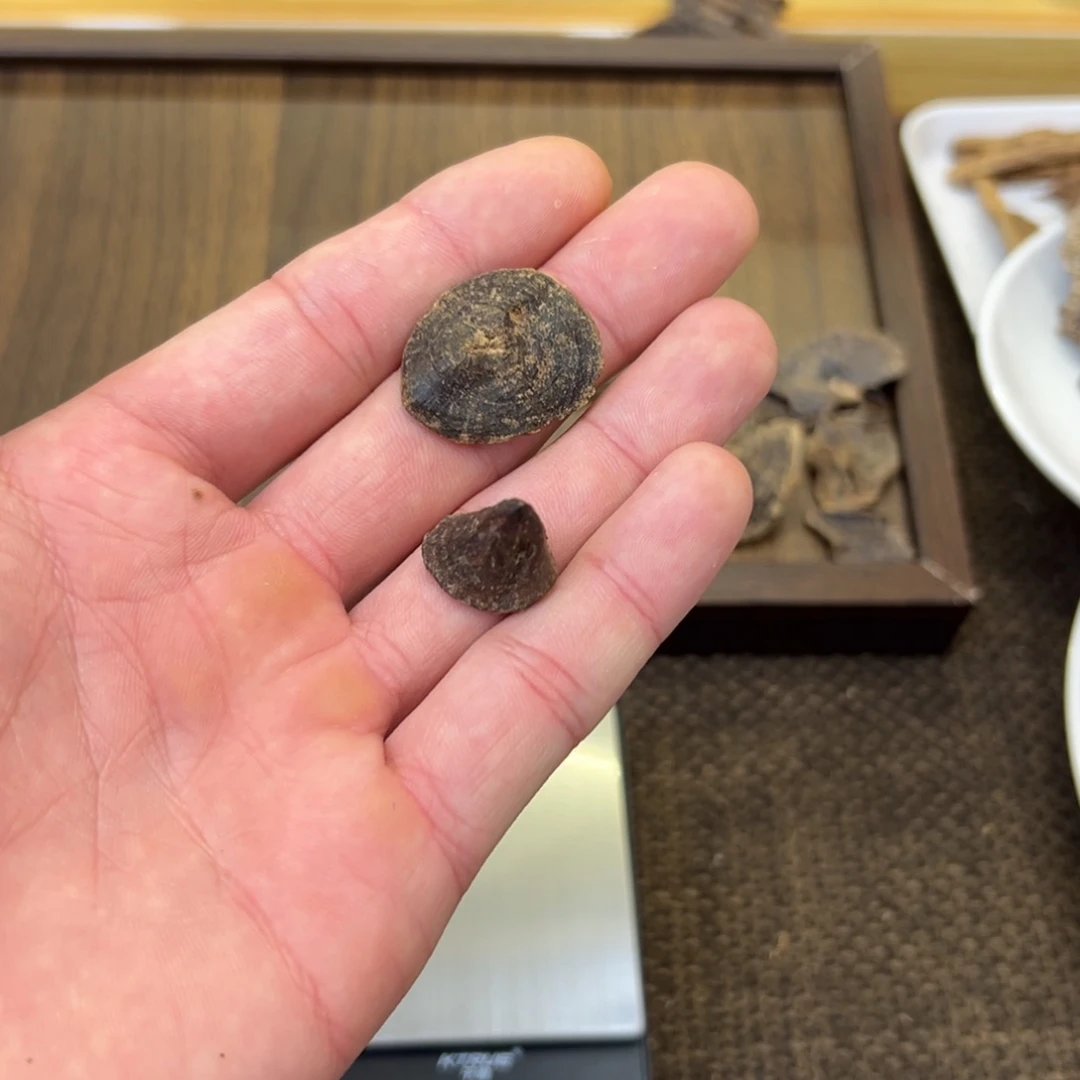 香港大屿山沉水包壳1.3g
