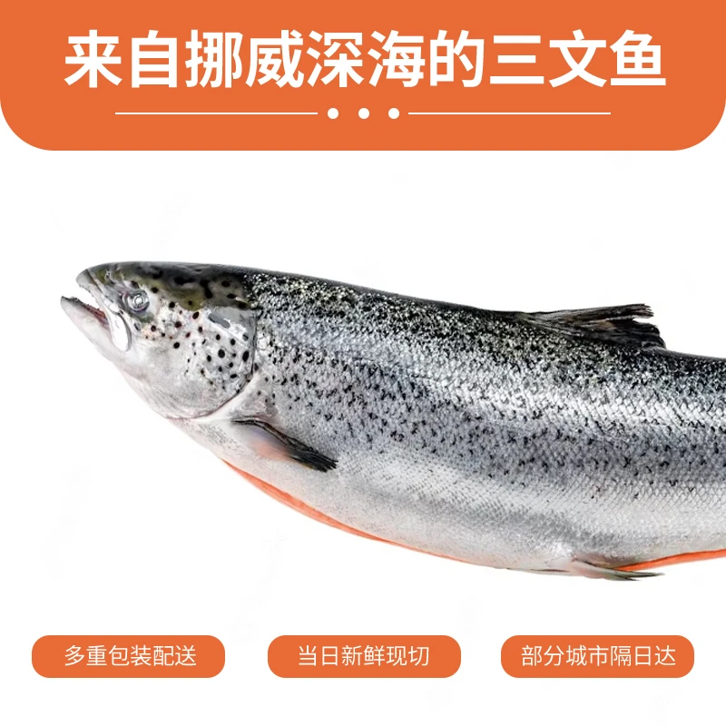 正宗挪威进口冰鲜三文鱼一整条新鲜中段刺身海鲜日料商用批发鲑鱼