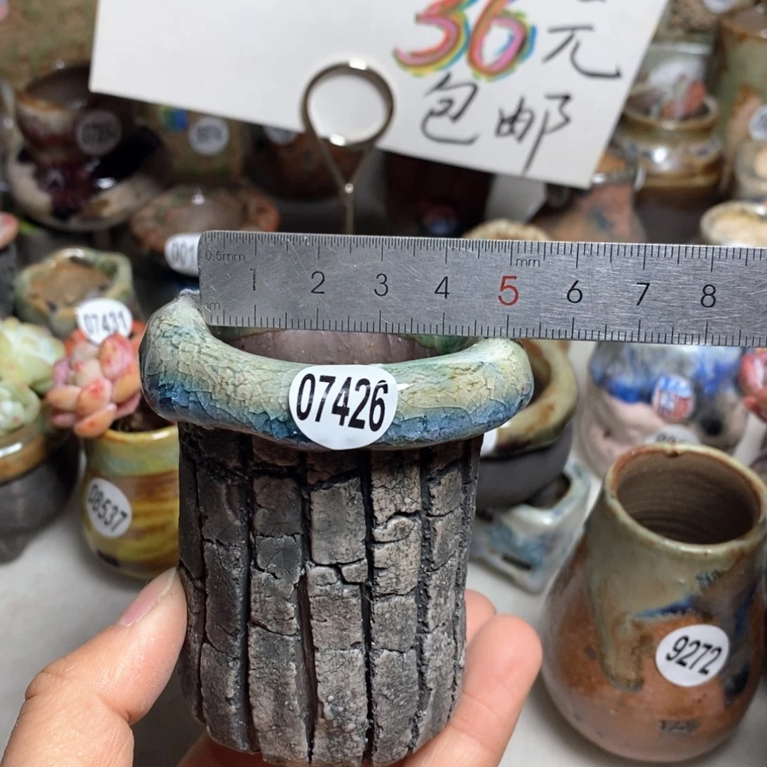 j**c花盆拍3送一个小礼物