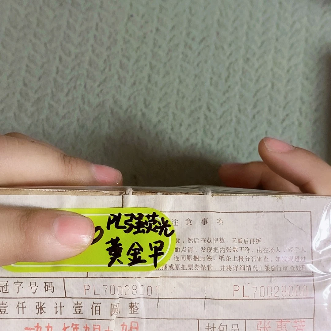 其他普通金属PL70028001黄金甲