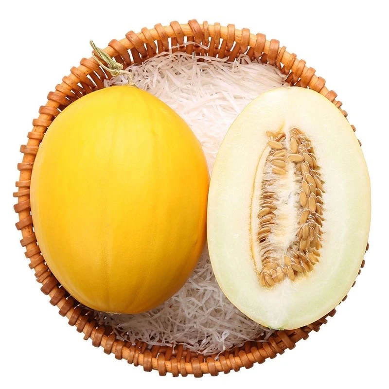 【顺丰包邮】海南金美人蜜瓜黄金蜜瓜甜瓜当季新鲜水果香甜哈密瓜