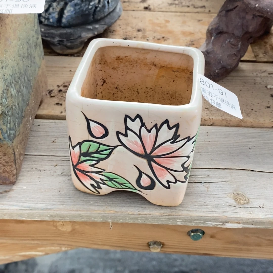 91号多肉盆口径6瑕疵