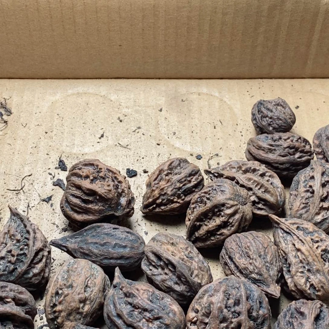 文玩核桃吊坠核桃141