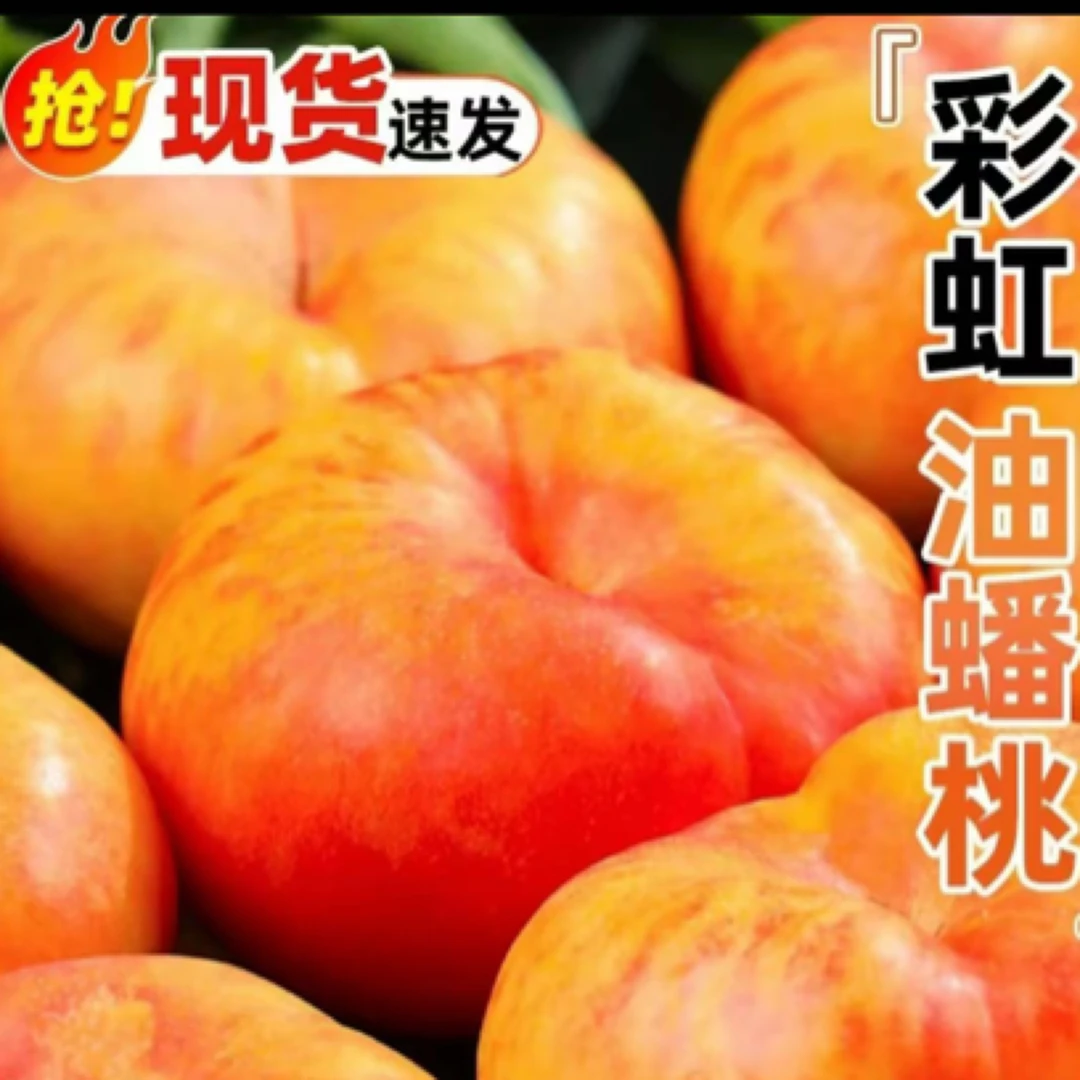 【正宗山东蒙阴蜜桃】彩虹油蟠桃新鲜脆甜多汁果园产地直发孕妇水果