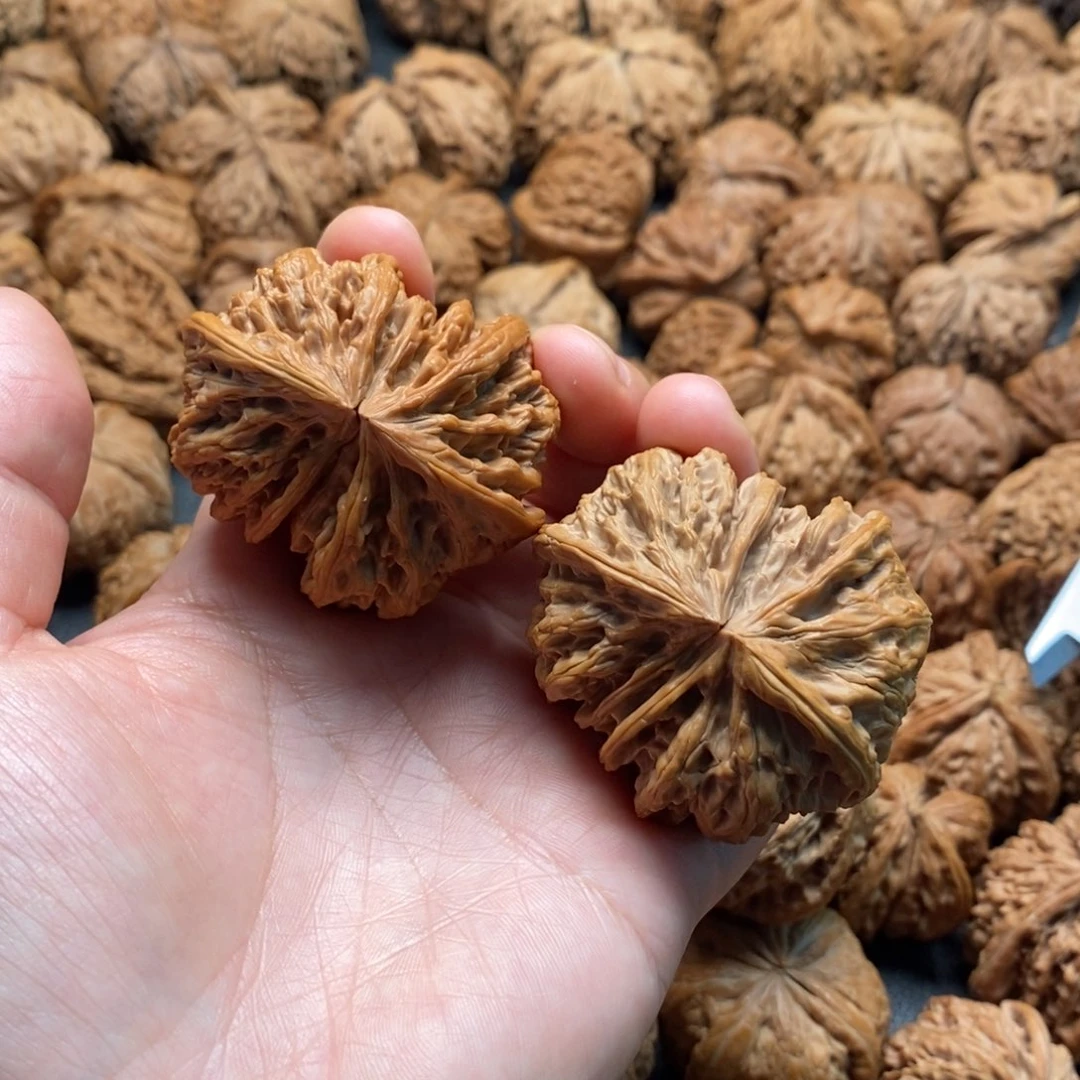 把件文玩核桃49野牛连体