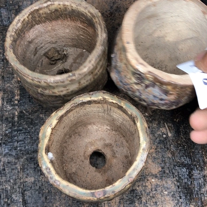 百**果178/////////////////