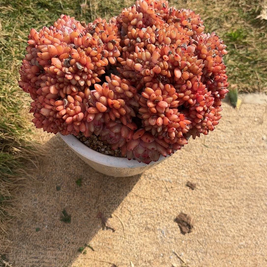 钢****蕾形影11111111111111111111
