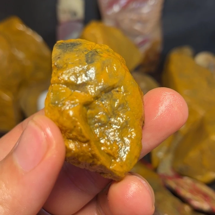 古***英昌化石国石昌化石