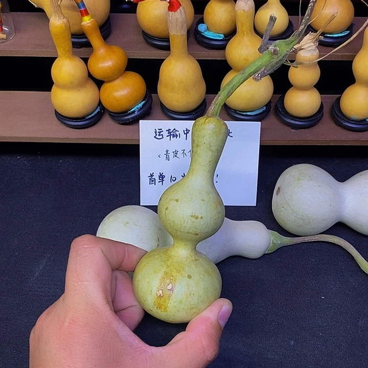 不****弟哈哈哈哈哈哈哈哈