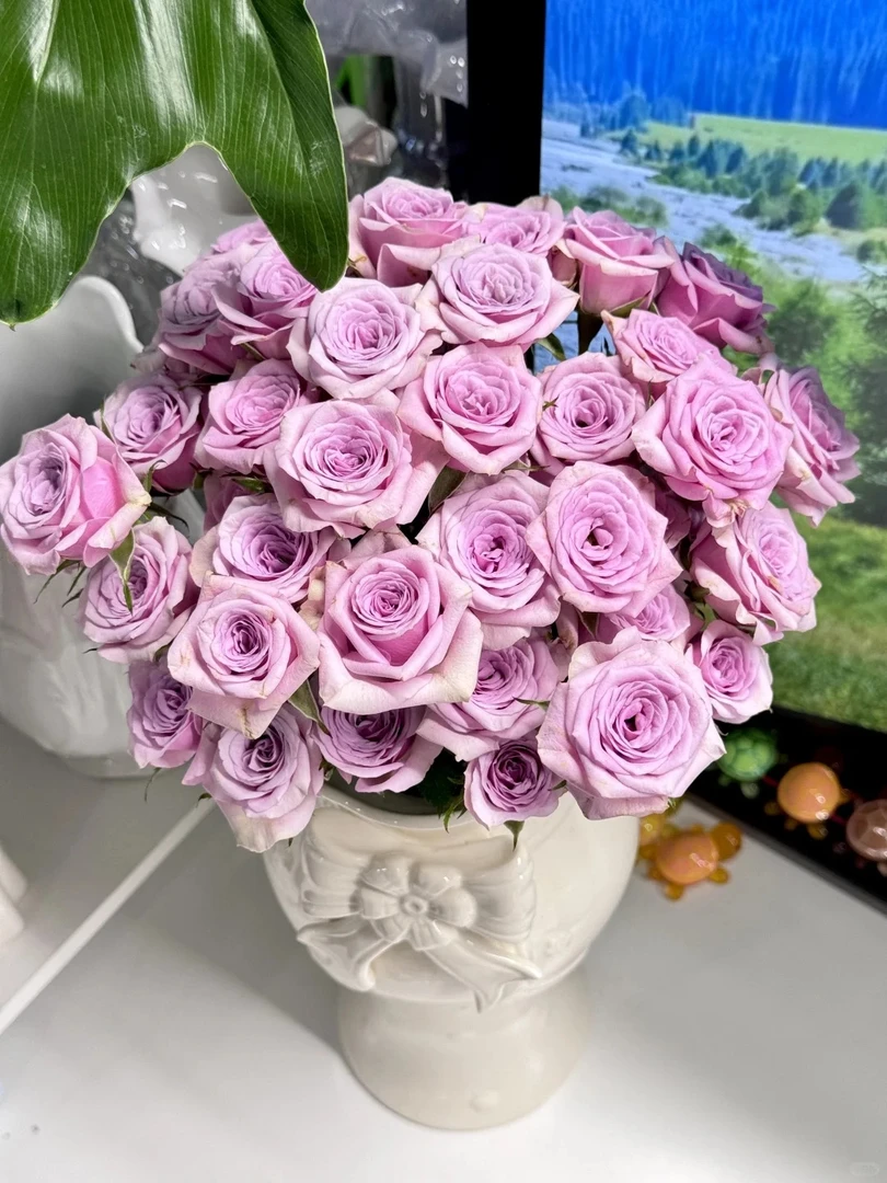 鲜花   多头莱拉泡泡8只+2只防损  任意两单包邮