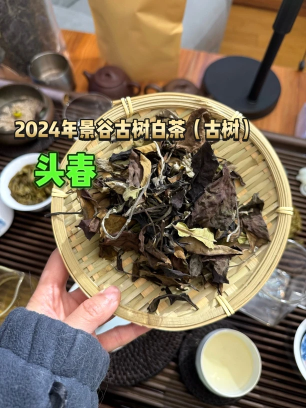 景谷大白茶2024年头春古树白茶50克