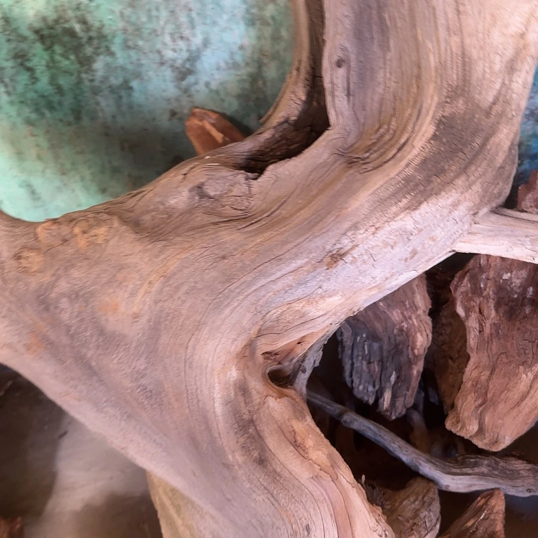 柏木南太行防拍链接