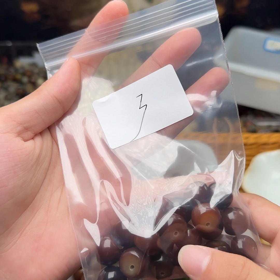 小***英吊坠菩提根/象牙果3号