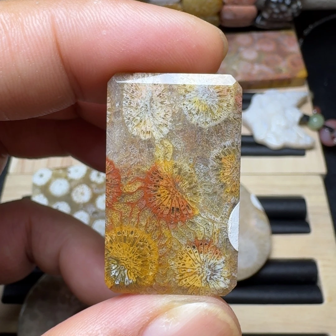 未镶嵌纯天然色有机玉石保真色硅化玉