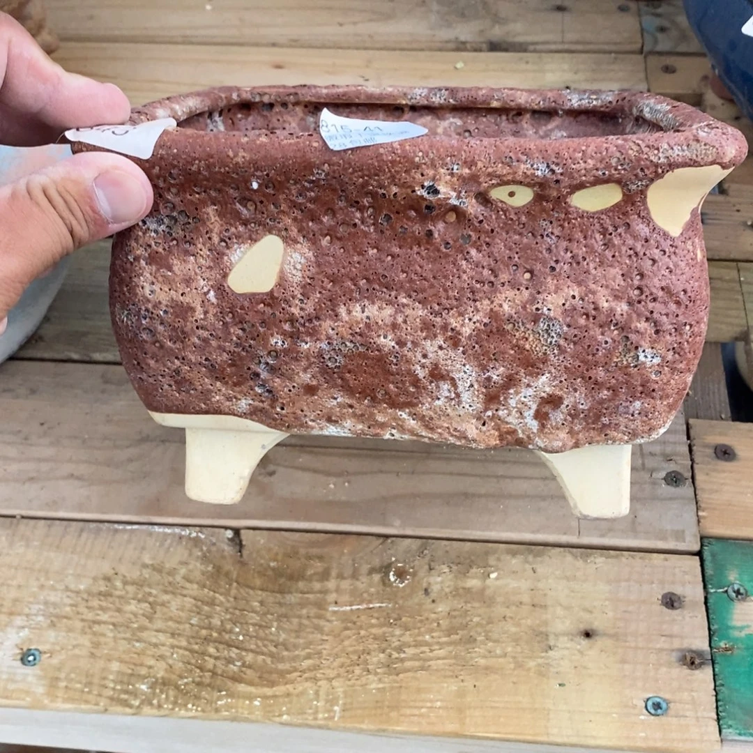 松***子41号花盆福利啦啦啊