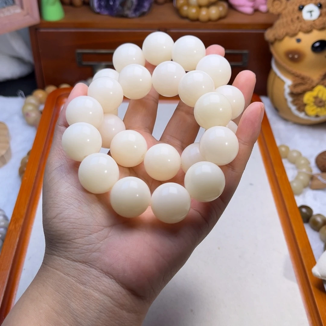 吊坠菩提根/象牙果