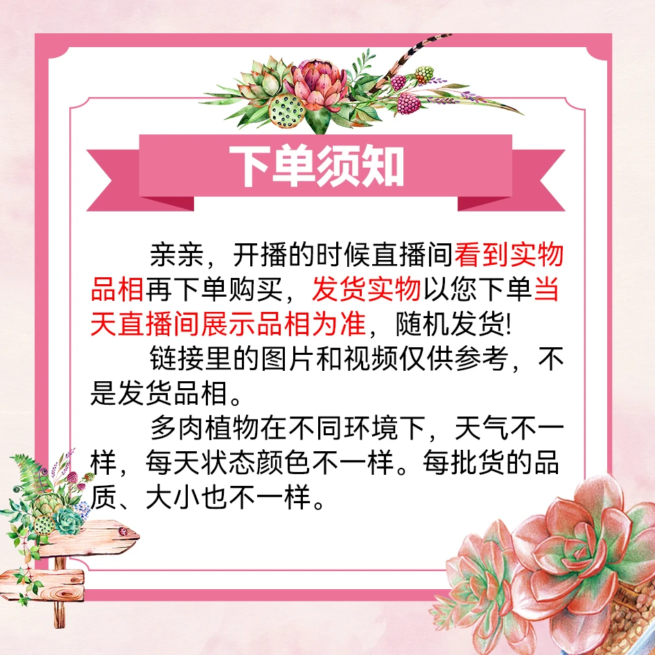 赫拉多肉满18包邮