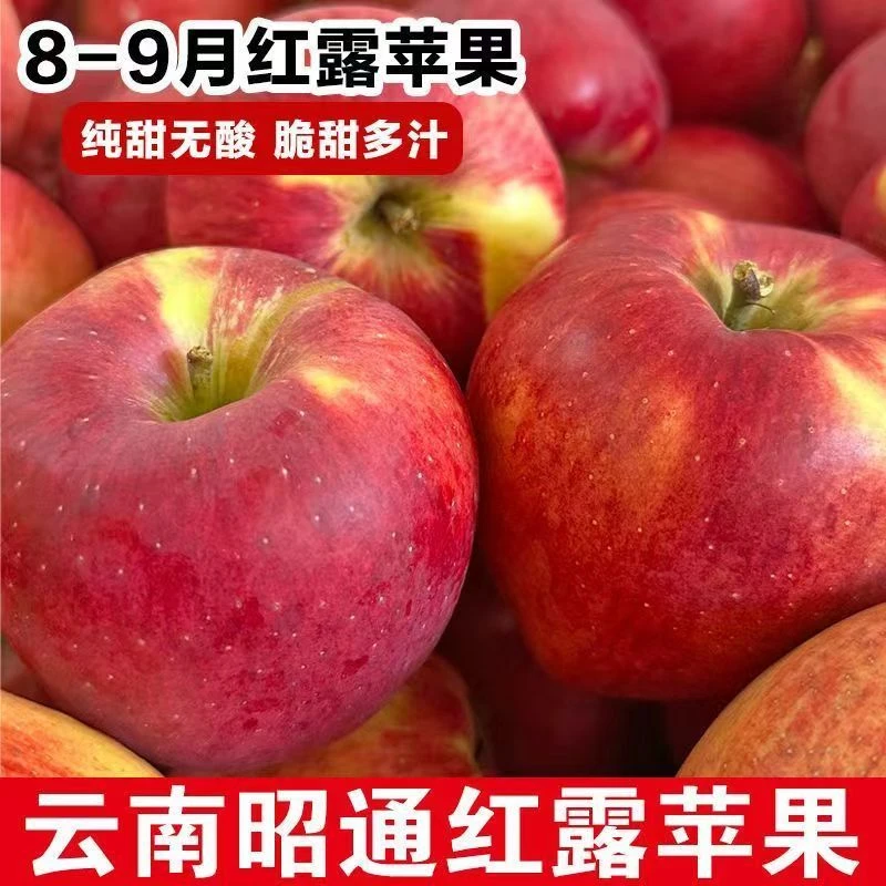 当季云南昭通红露苹果丑苹果2024鲜果新鲜水果超甜冰糖心现摘现发