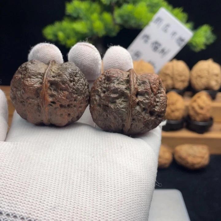 文玩核桃把件云南铁核桃63
