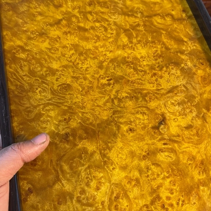 木黄金樟留疤超大托盘