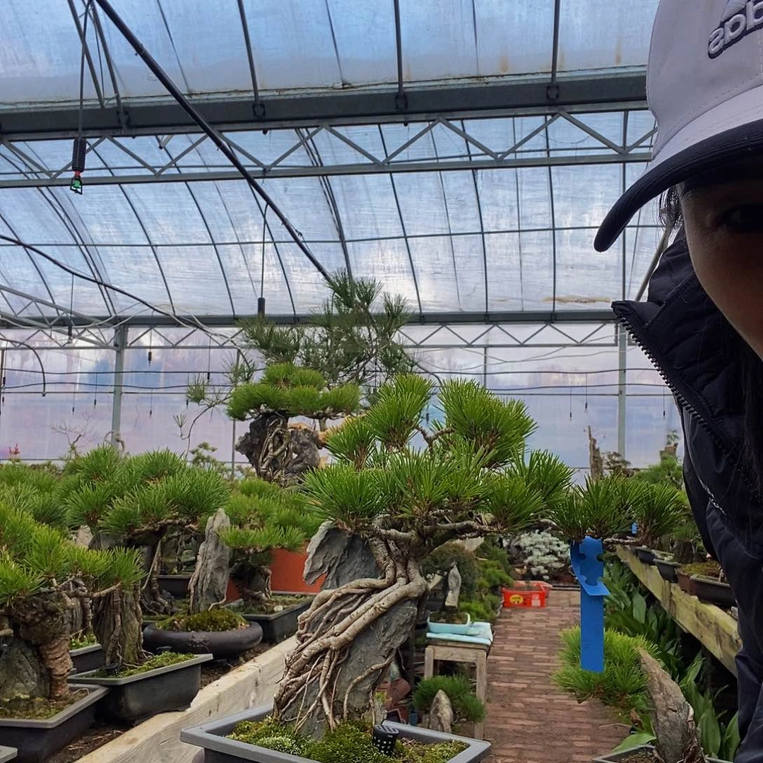 无花朵王*三河88888888