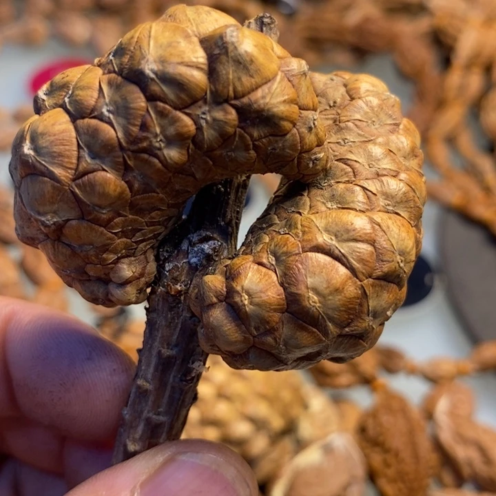 香榧木拿姐工艺流程124