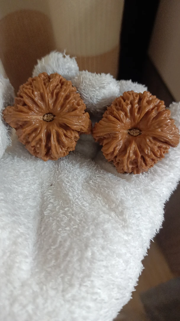 凹底南疆石狮子头文玩核桃