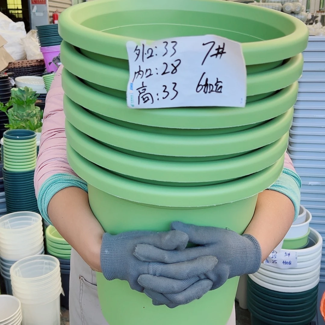 四季盆7#果绿色6个无托
