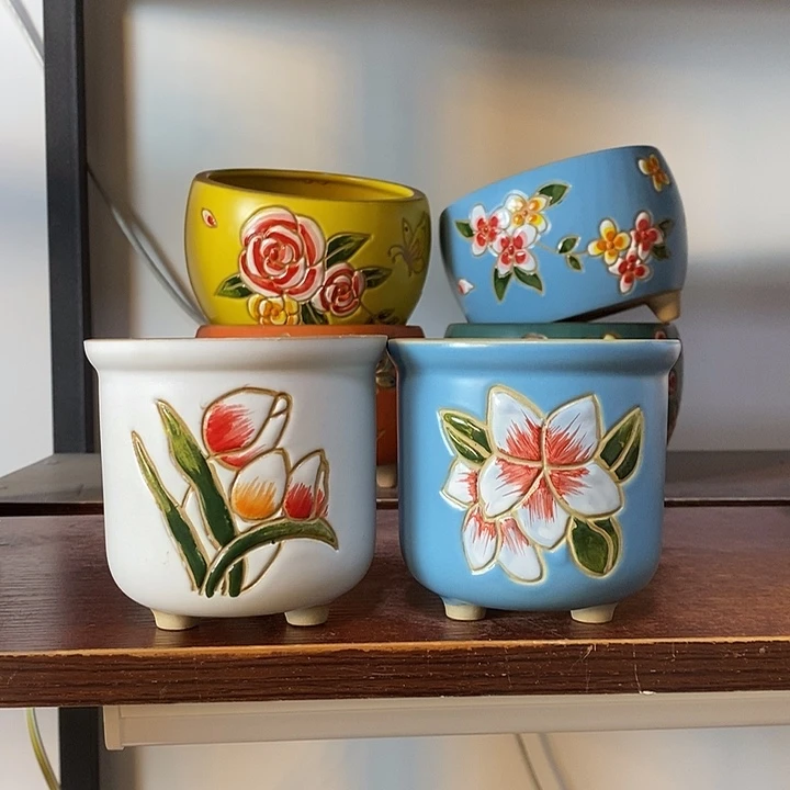 韩式多肉植物花盆