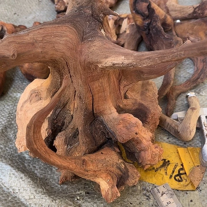 香榧木麻辣烫等食物都可以用