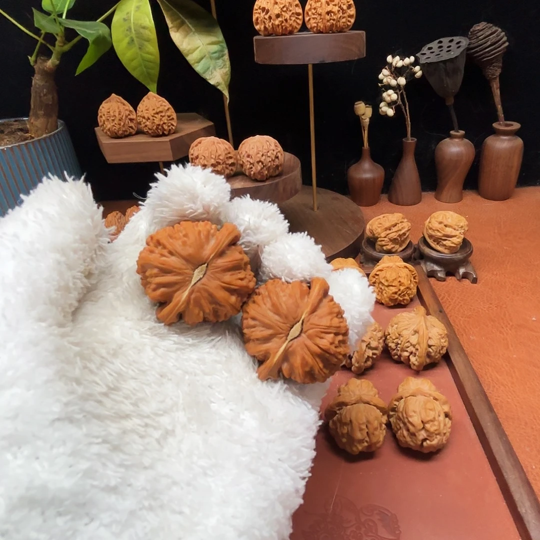 C***c核桃手串/手链白狮子