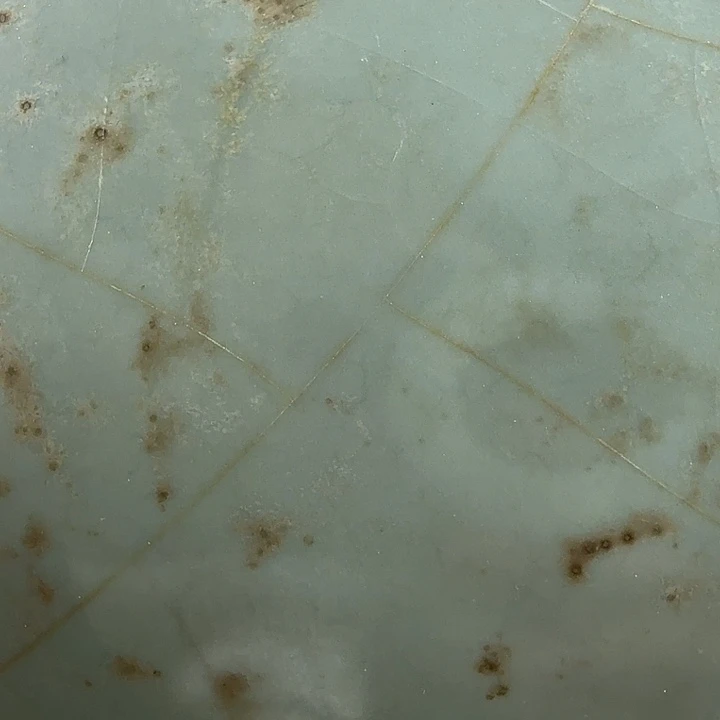 一***份陶咯邻居兔兔旅途了看看