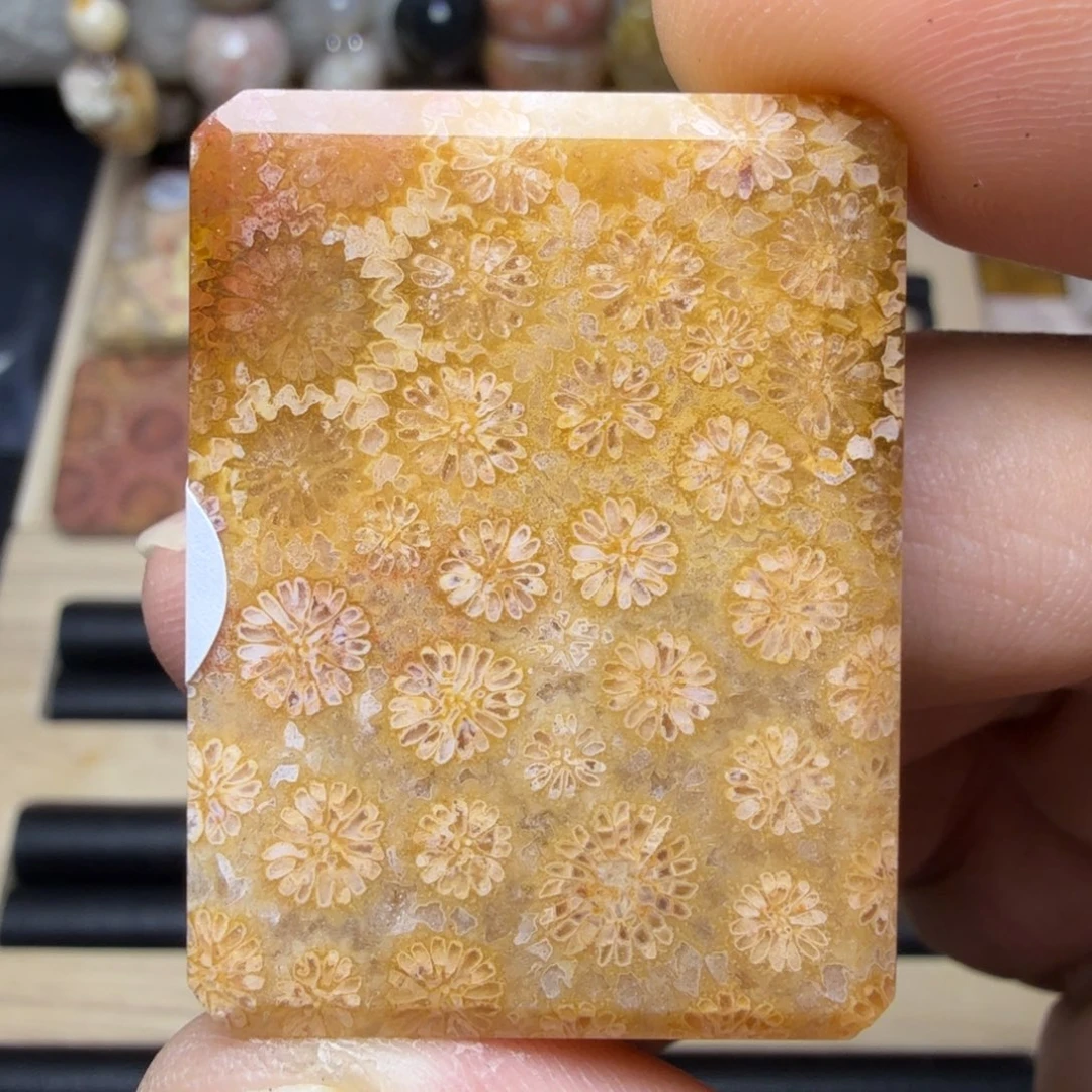 硅化玉未镶嵌纯天然色有机玉石保真色