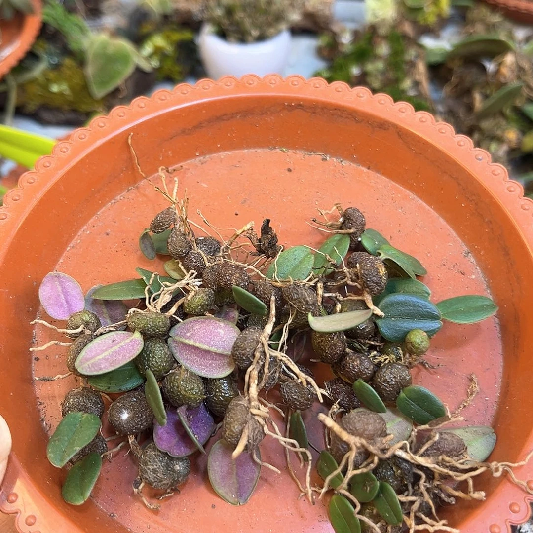 遇*。10。。。。。。。。。。。