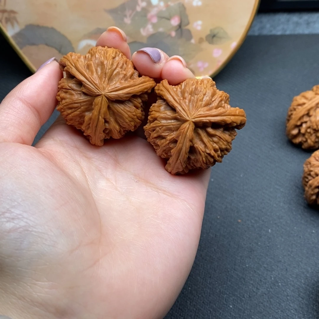 蓝**白白狮子凄凄切切凄凄切切亲亲